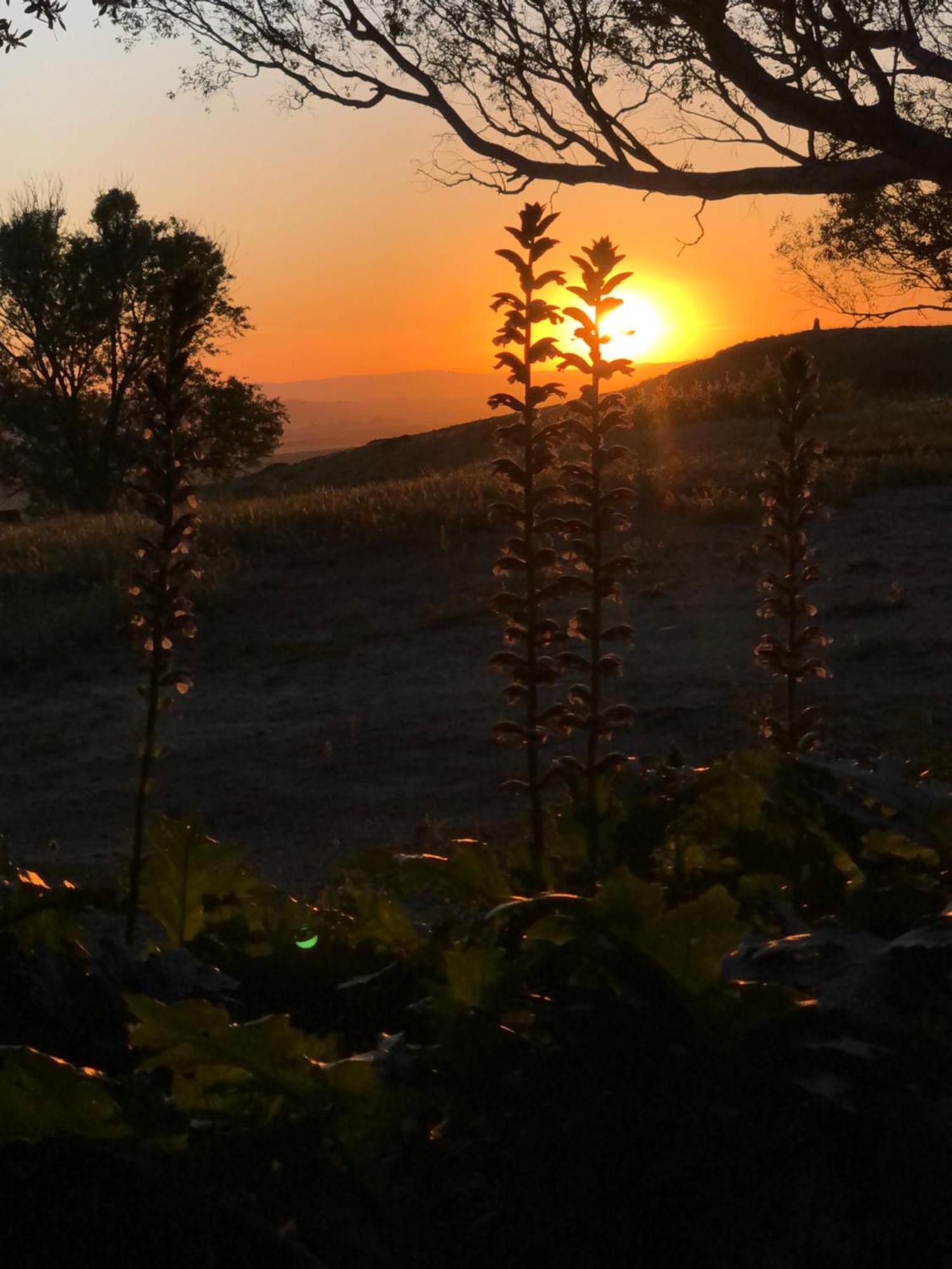 タリファ La Casita Del Pintorヴィラ エクステリア 写真